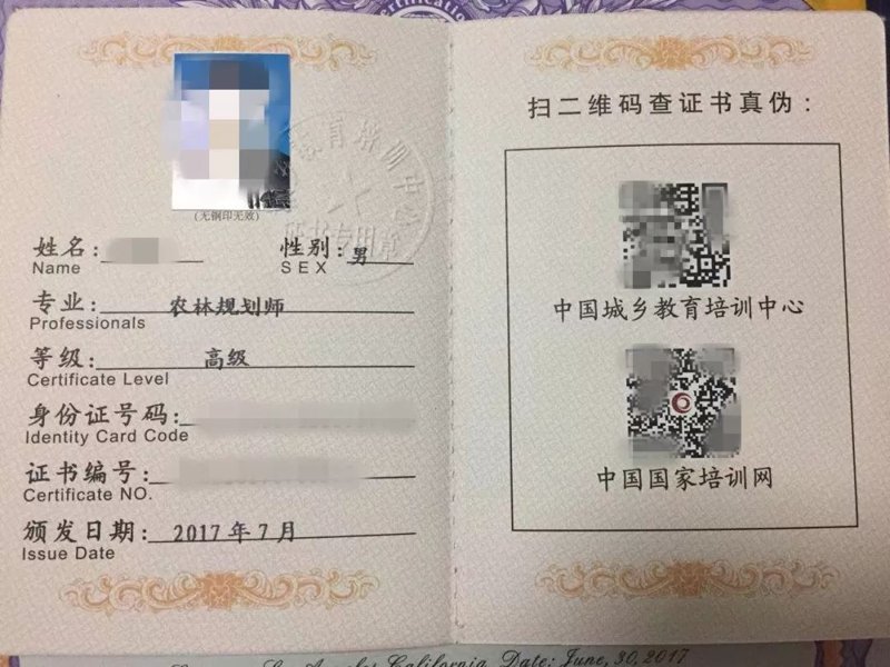教育规划师